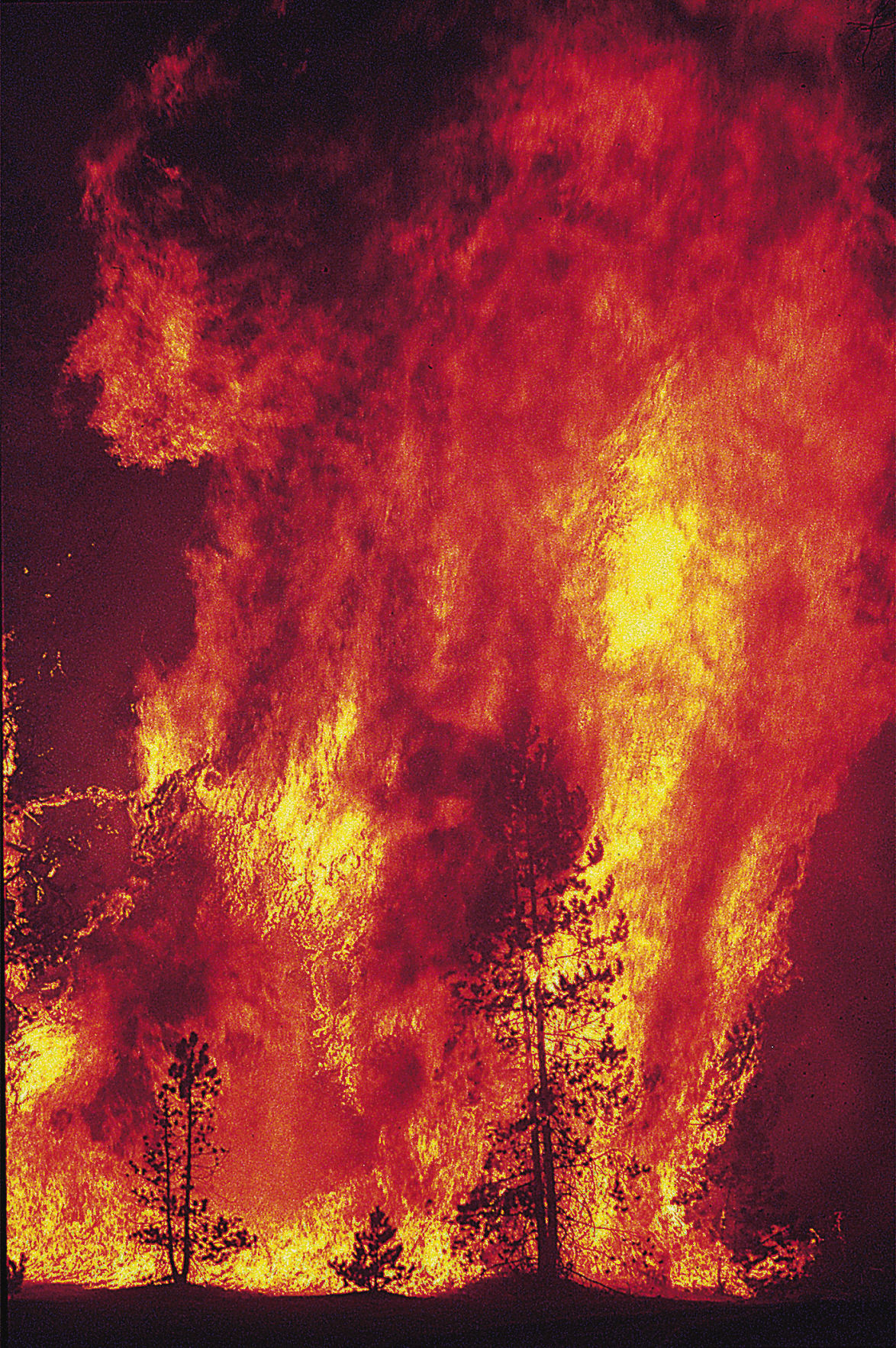 Norris Museum fire